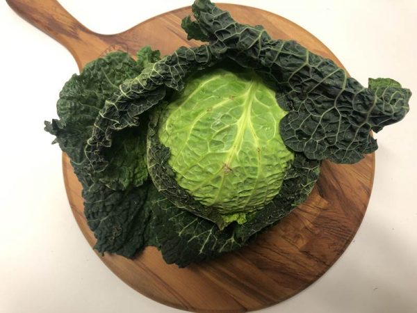 Savoy Cabbage