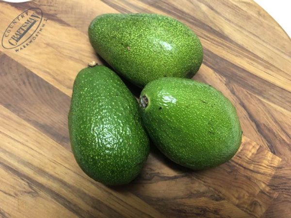 Avocado