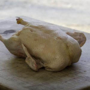 Free Range Whole Duck