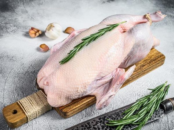 Fresh Homegrown Goose